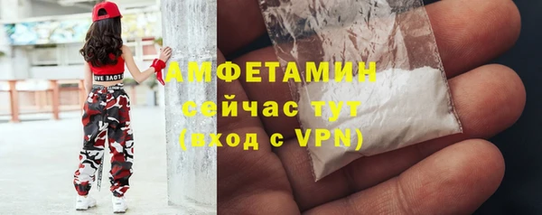 шишки Новокубанск