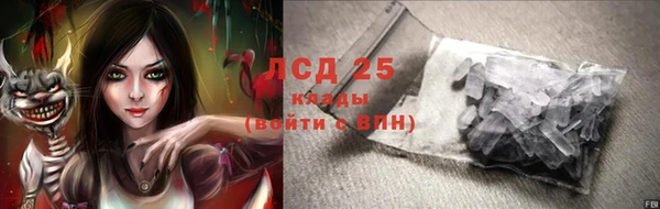 соль ск Новозыбков