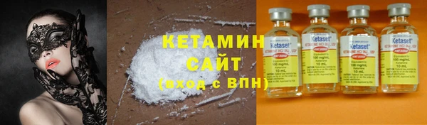 соль ск Новозыбков