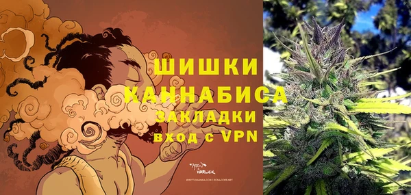 соль ск Новозыбков