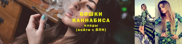 шишки Новокубанск