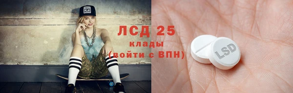 шишки Новокубанск