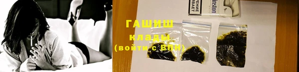 соль ск Новозыбков