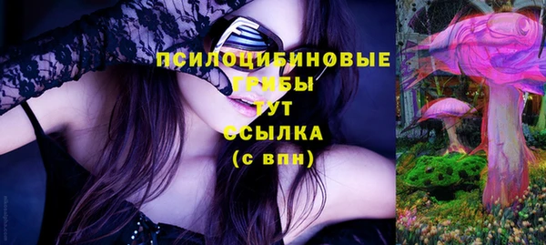 герыч Новодвинск