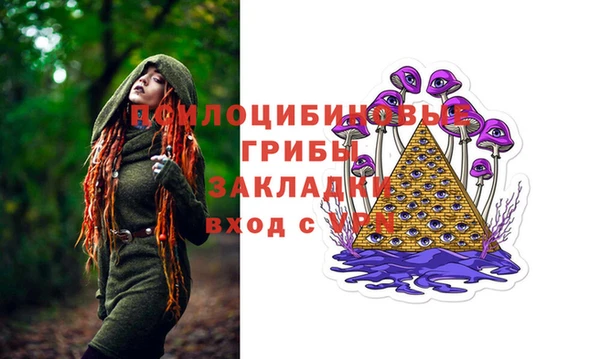 соль ск Новозыбков