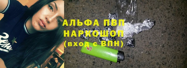 соль ск Новозыбков