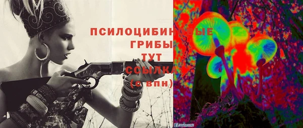 герыч Новодвинск