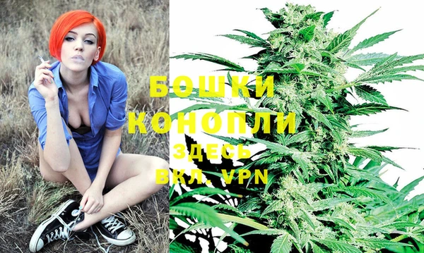 соль ск Новозыбков