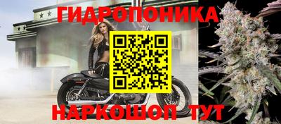 apvp Заводоуковск