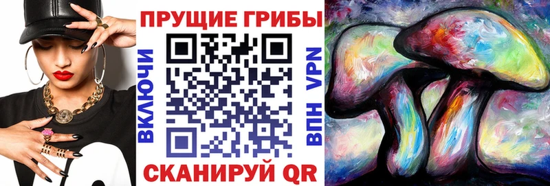 МЕГА онион  Тобольск  Галлюциногенные грибы Magic Shrooms  наркотики 