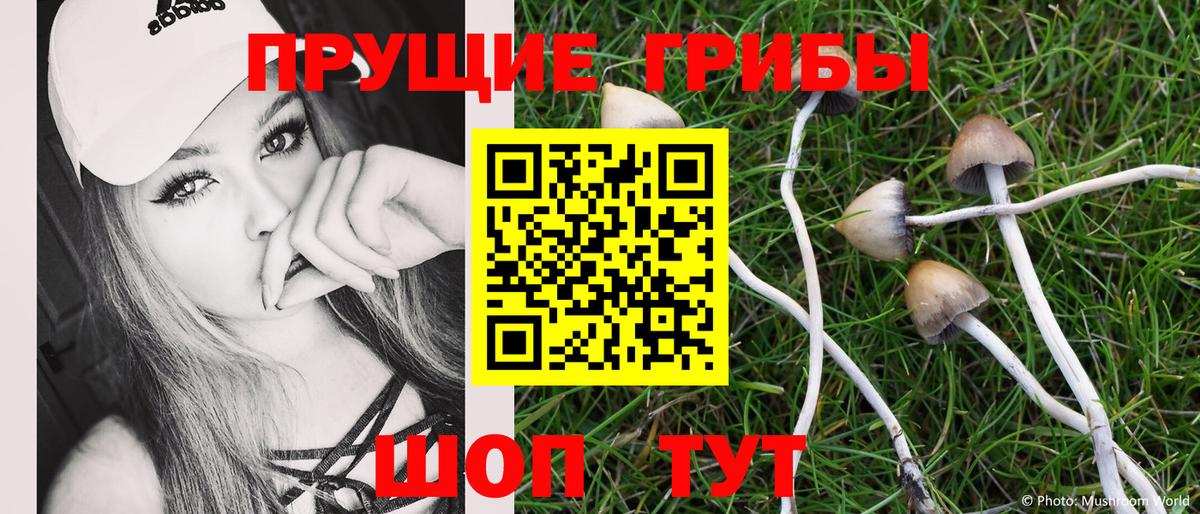 Галлюциногенные грибы прущие грибы  продажа наркотиков  Тобольск 